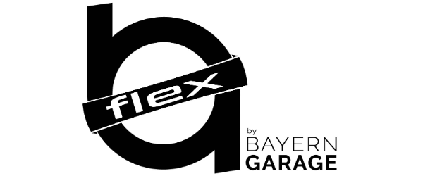 bg-flex-logo